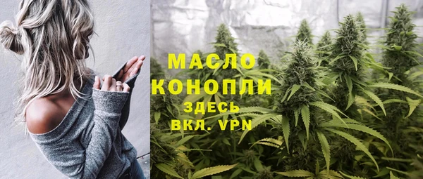 молекула духа Белоозёрский